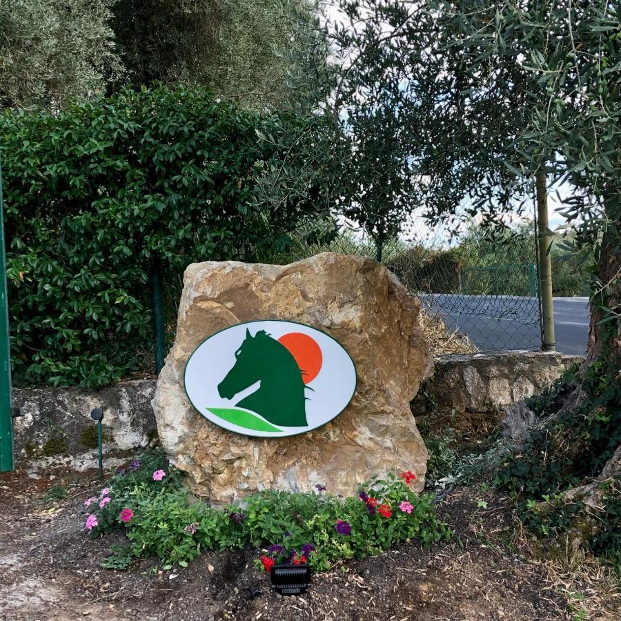 مونتيميرانو Agriturismo Poggio Del Drago المظهر الخارجي الصورة