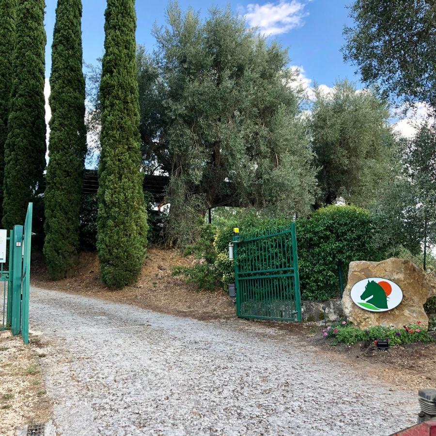 مونتيميرانو Agriturismo Poggio Del Drago المظهر الخارجي الصورة