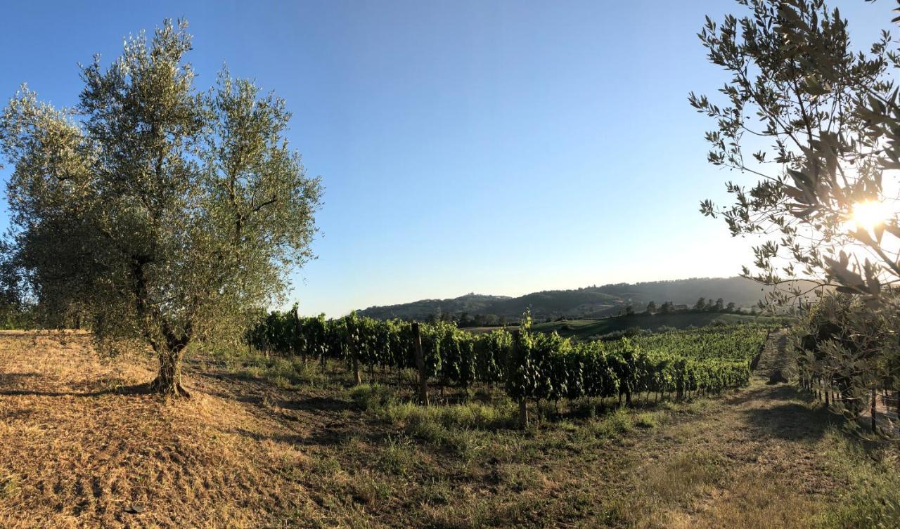 مونتيميرانو Agriturismo Poggio Del Drago المظهر الخارجي الصورة