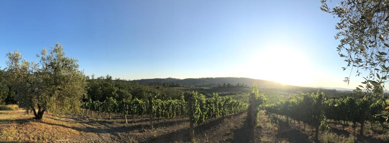 مونتيميرانو Agriturismo Poggio Del Drago المظهر الخارجي الصورة