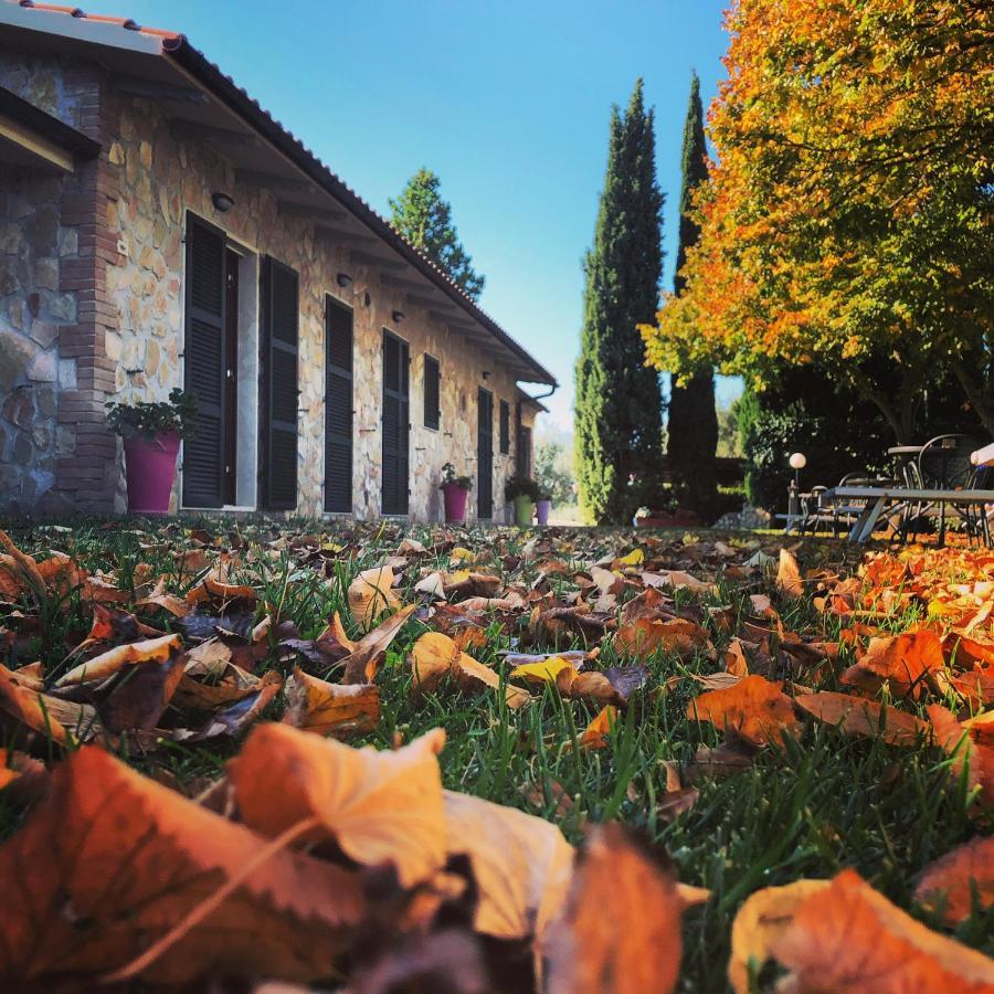 مونتيميرانو Agriturismo Poggio Del Drago المظهر الخارجي الصورة