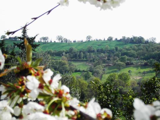 مونتيميرانو Agriturismo Poggio Del Drago المظهر الخارجي الصورة