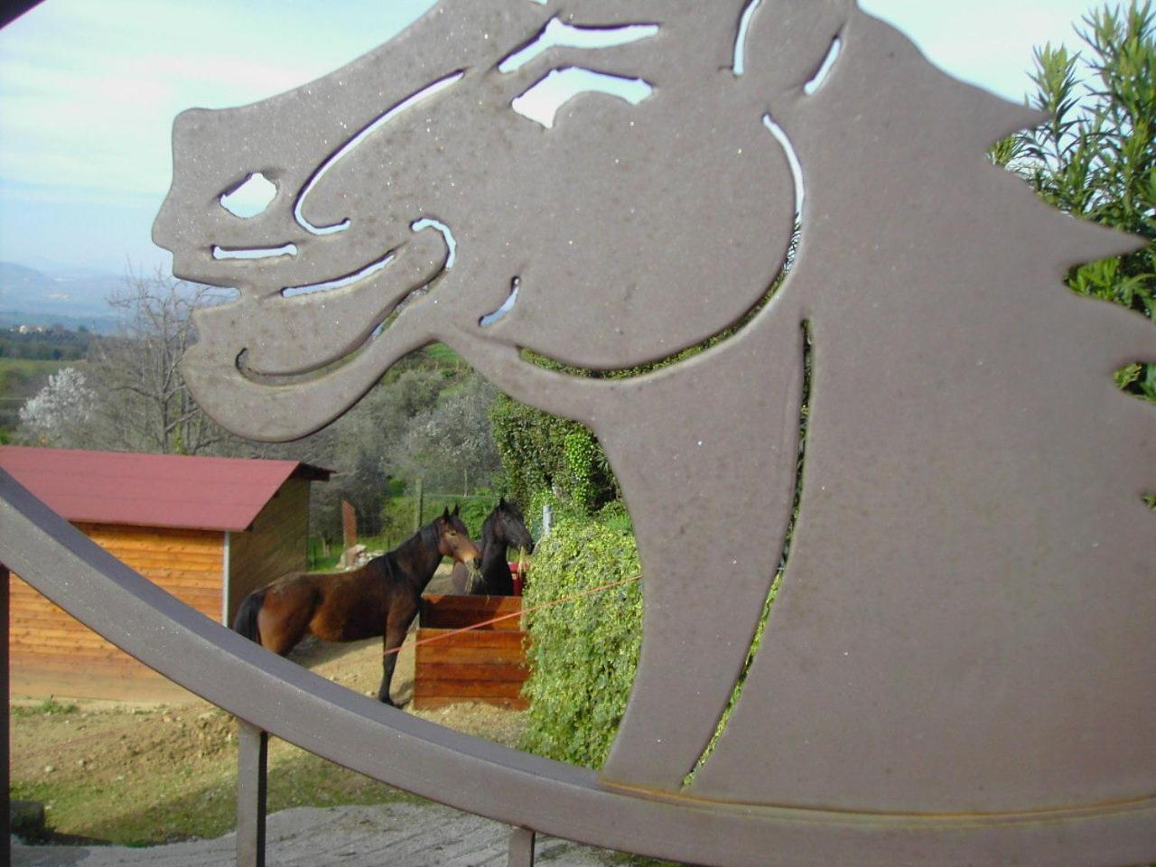 مونتيميرانو Agriturismo Poggio Del Drago المظهر الخارجي الصورة