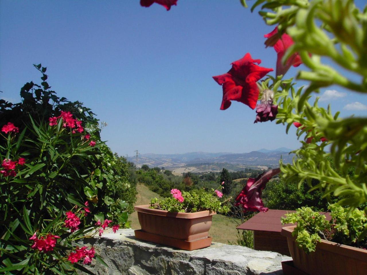 مونتيميرانو Agriturismo Poggio Del Drago المظهر الخارجي الصورة