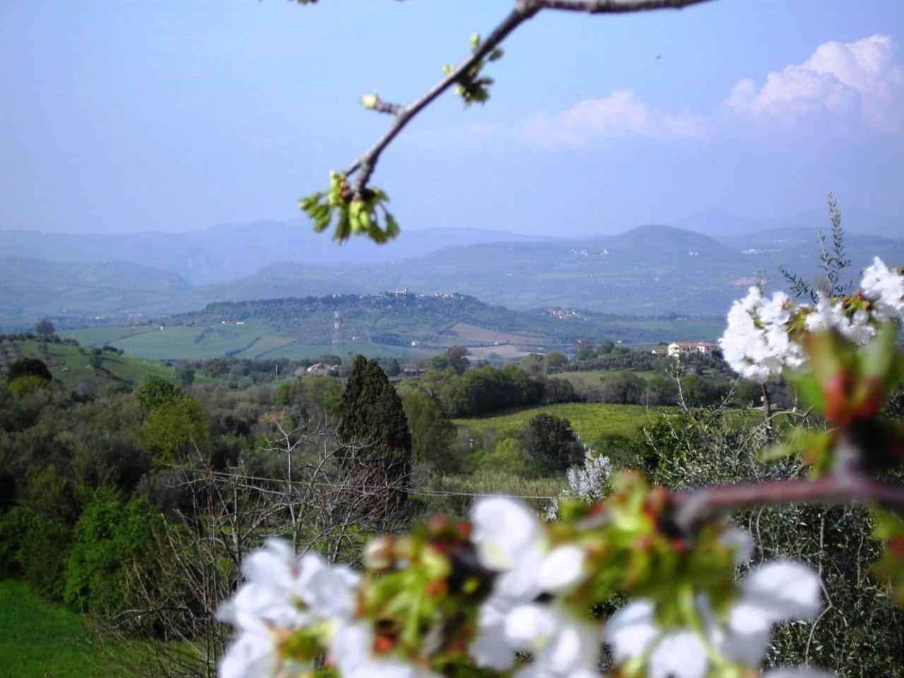 مونتيميرانو Agriturismo Poggio Del Drago المظهر الخارجي الصورة