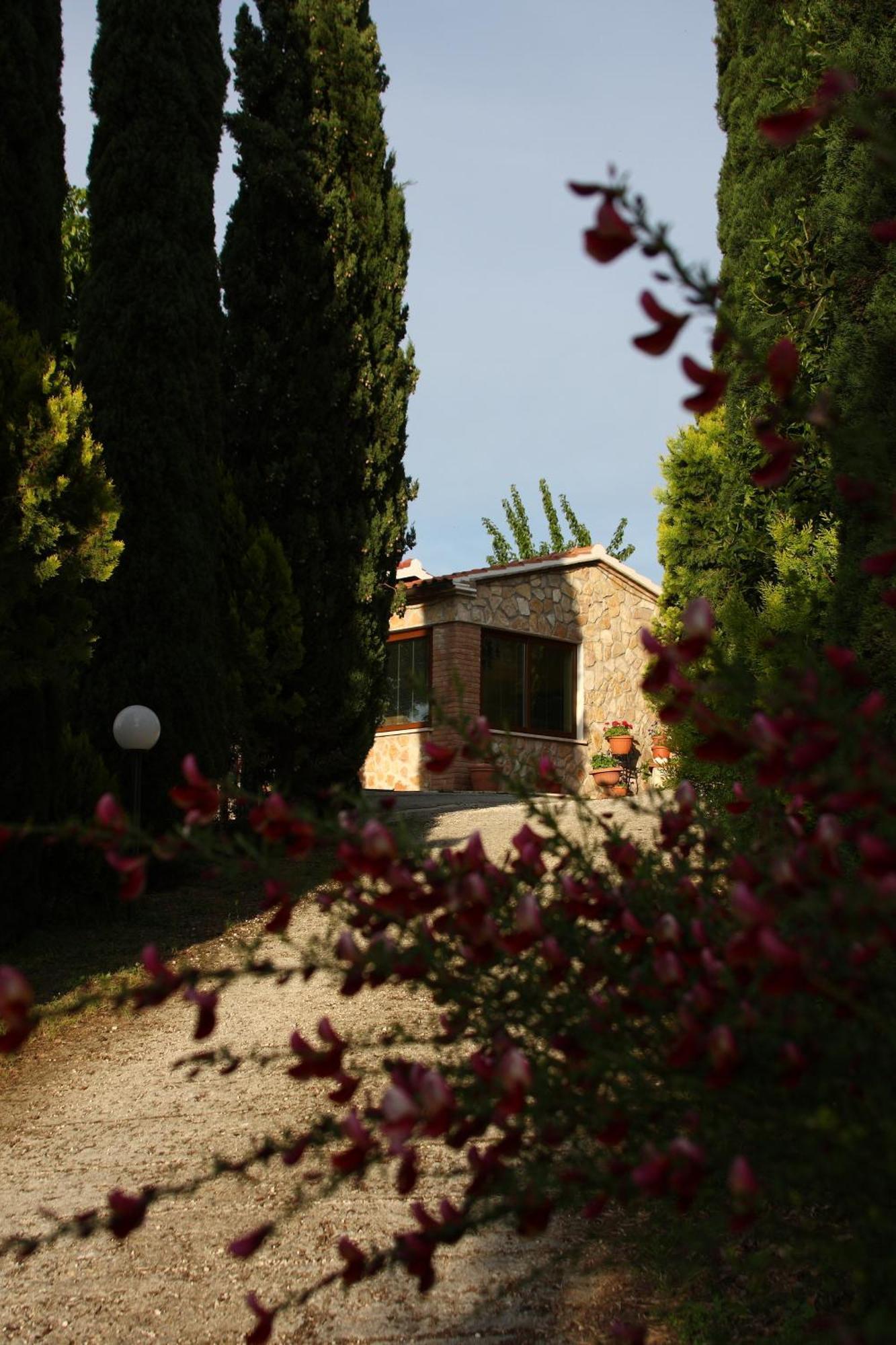 مونتيميرانو Agriturismo Poggio Del Drago المظهر الخارجي الصورة